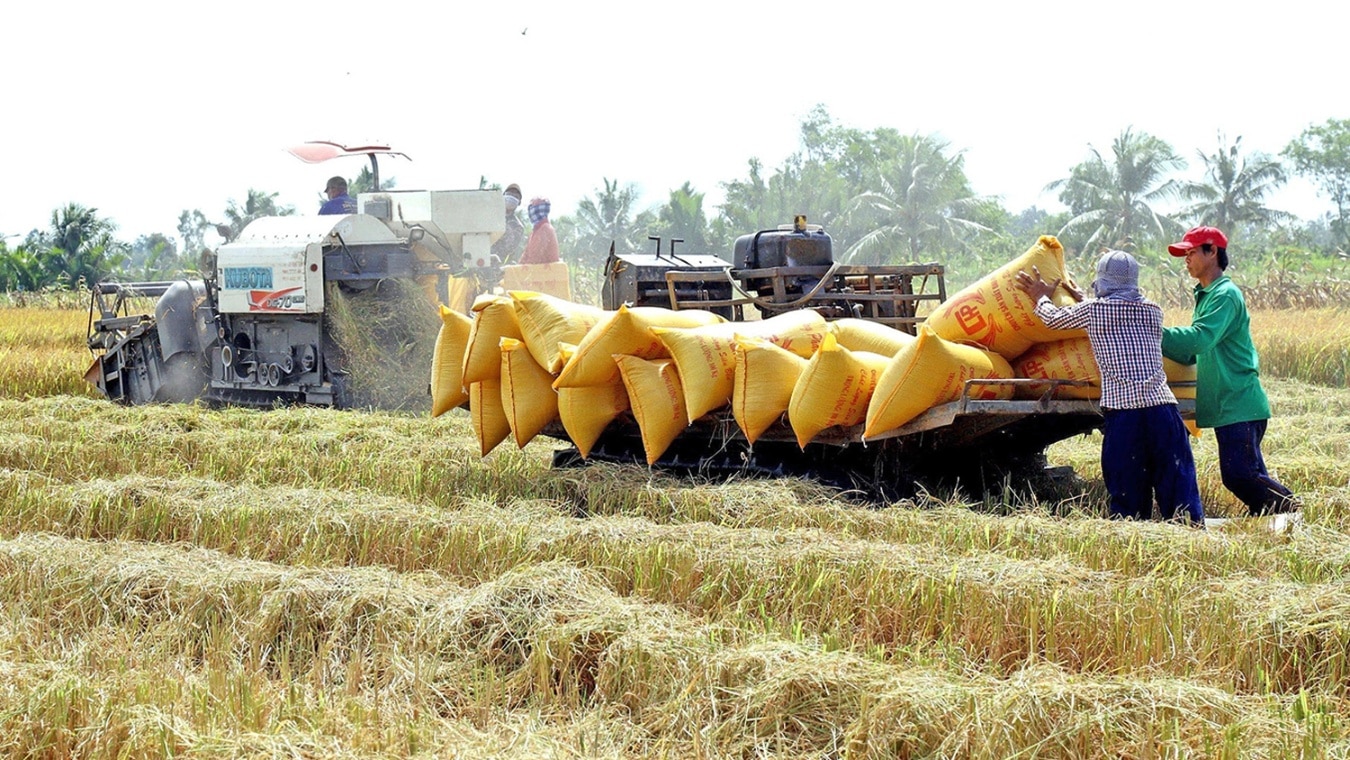 Những đổi thay sau Hội nghị Thủ tướng đối thoại với Nông dân 2023: Đột phá từ xây dựng 5 vùng nguyên liệu (Bài 2)- Ảnh 3.