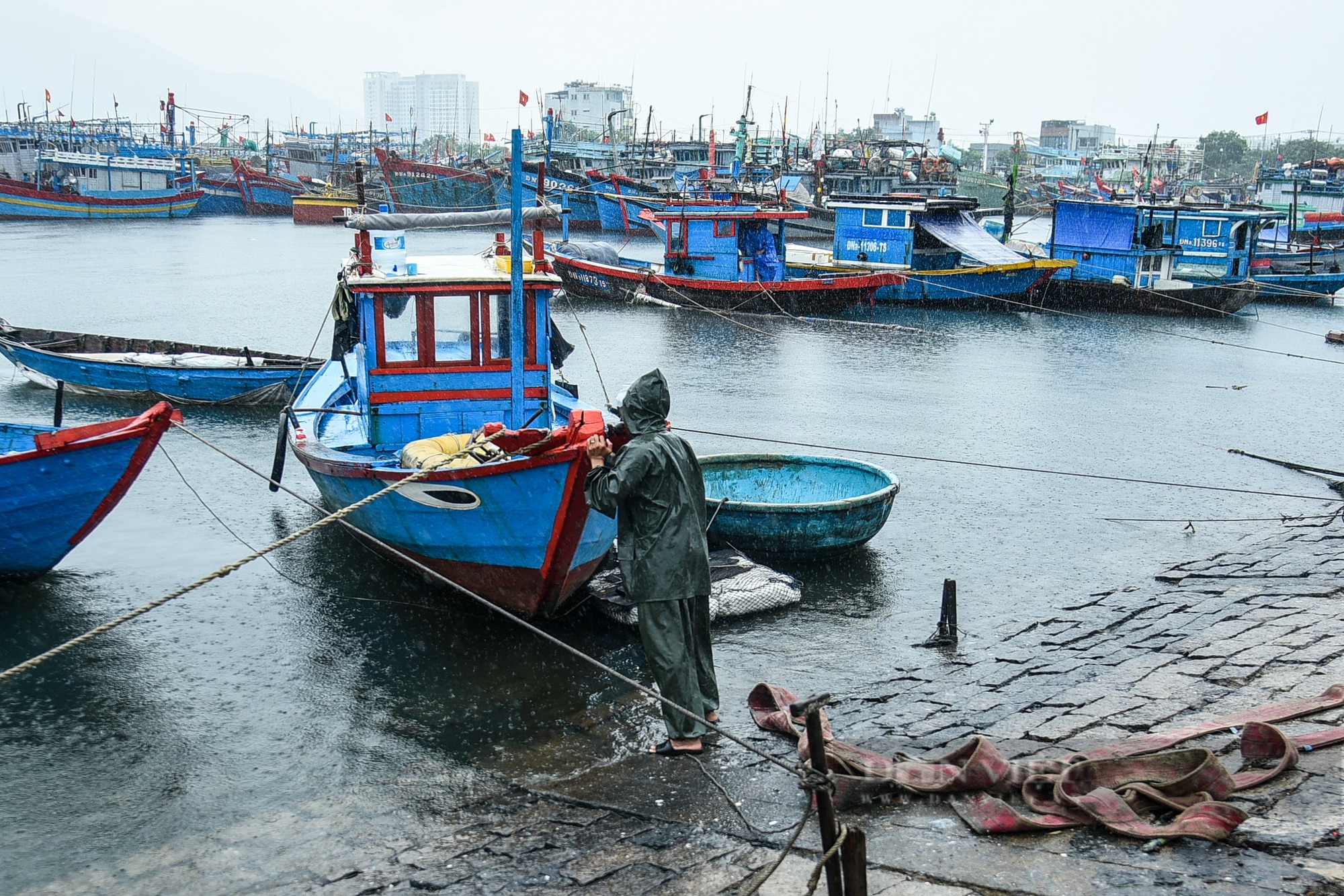 Bão Trà Mi áp sát, ngư dân Đà Nẵng hối hả vào bờ, neo đậu tàu thuyền tránh bão- Ảnh 3.