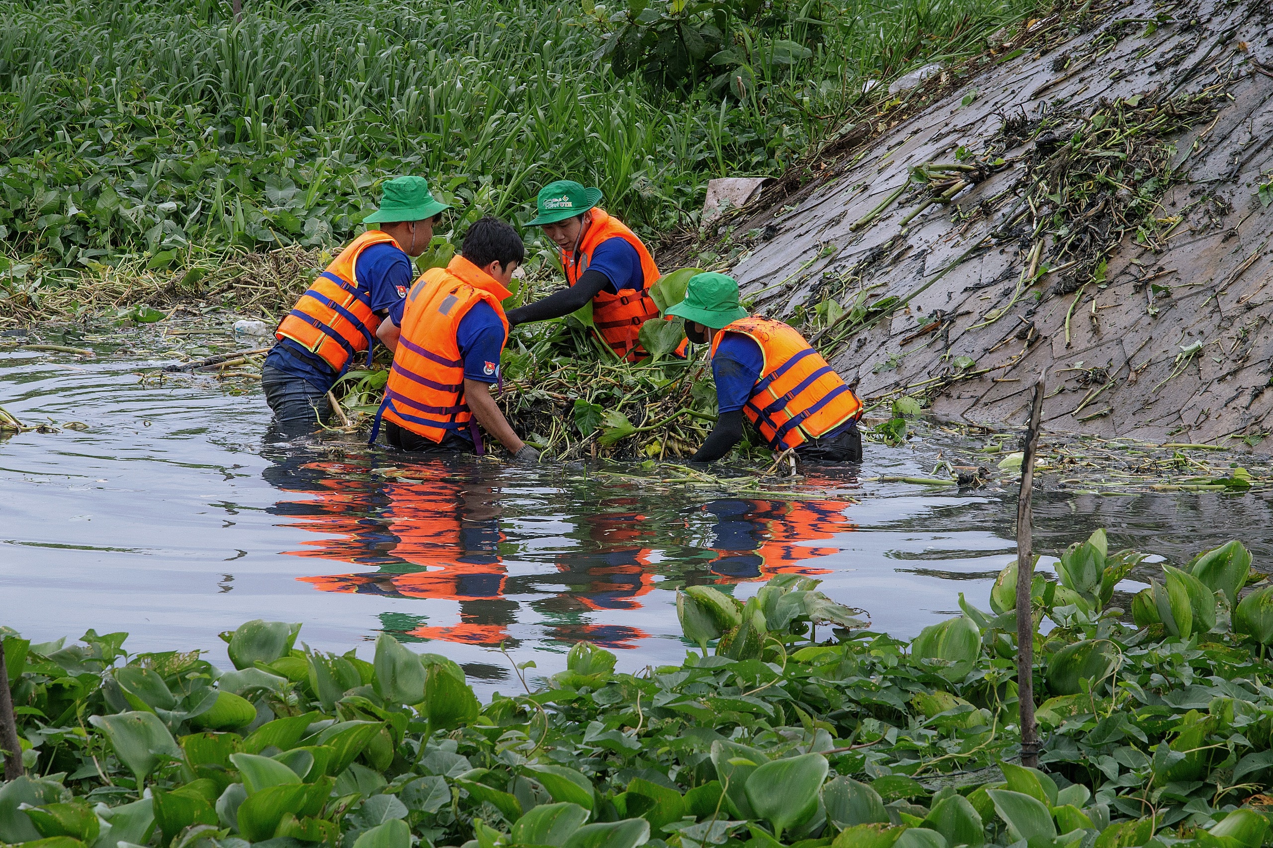 Vớt rác lục bình ở rạch Ghe Máy