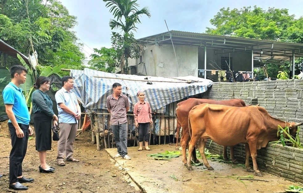 Cán bộ Ngân hàng chính sách xã hội huyện Yên Lập thực hiện kiểm tra việc sử dụng vốn vay tại xã Thượng Long (Ảnh: Tạ Toàn).