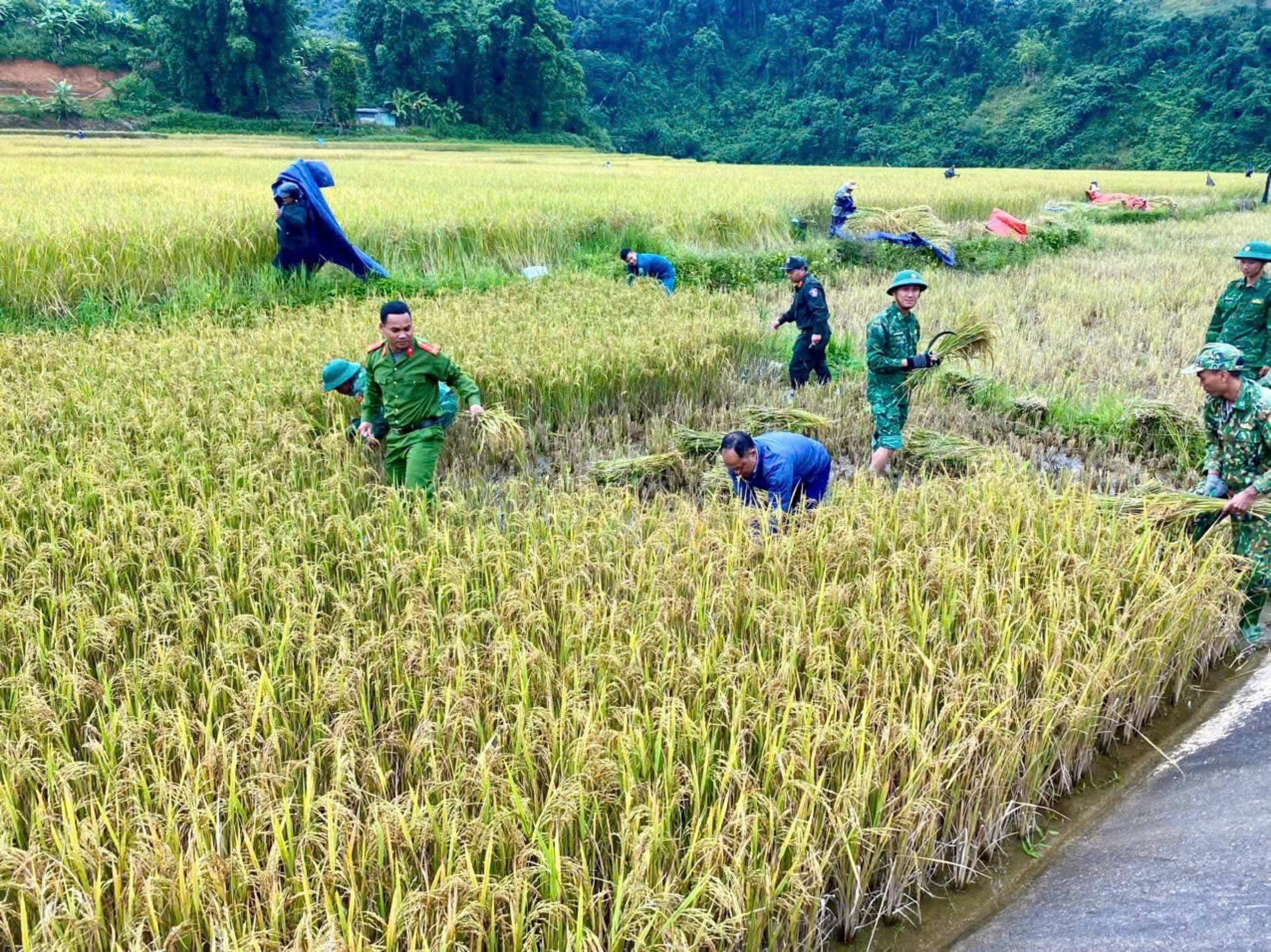 Cập nhật tin về bão số 6: Cách Đà Nẵng khoảng 90km, giật cấp 11, Cù Lao Chàm sóng to, gió rít liên hồi - Ảnh 4.