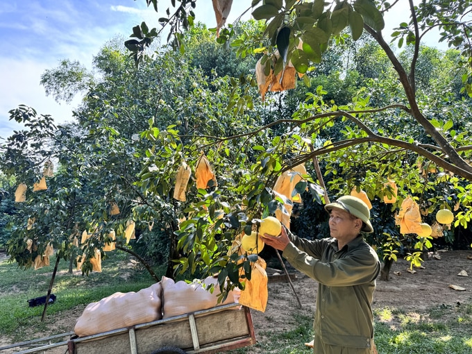 Huyện Hương Khê có điều kiện rất thuận lợi để phát triển sản xuất nông nghiệp hữu cơ. Ảnh: Ánh Nguyệt.