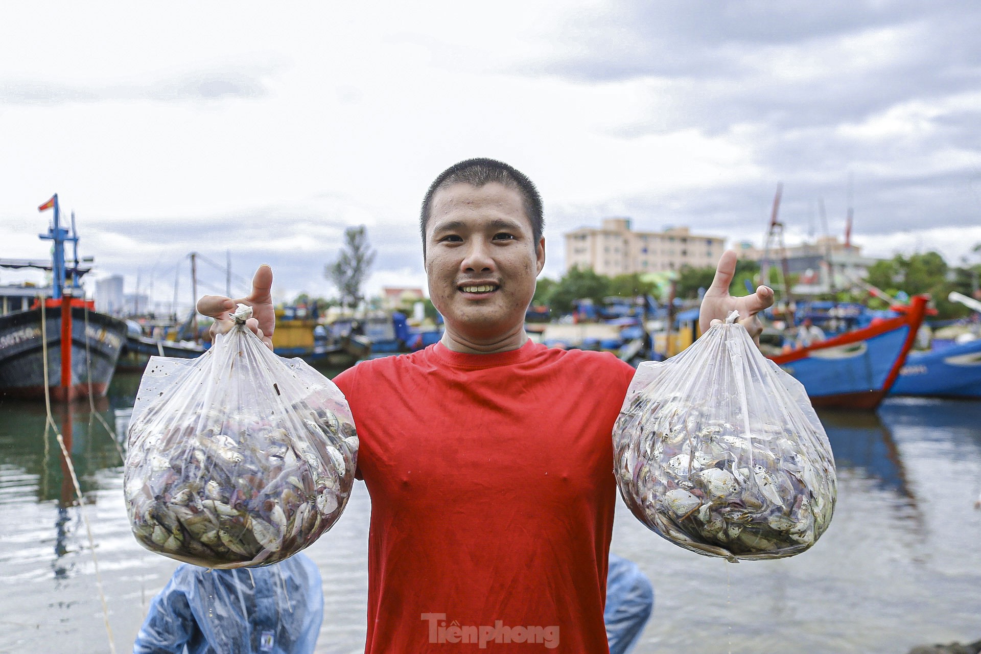 Ngư dân Đà Nẵng đánh bắt gần bờ, thu tiền triệu sau bão ảnh 4