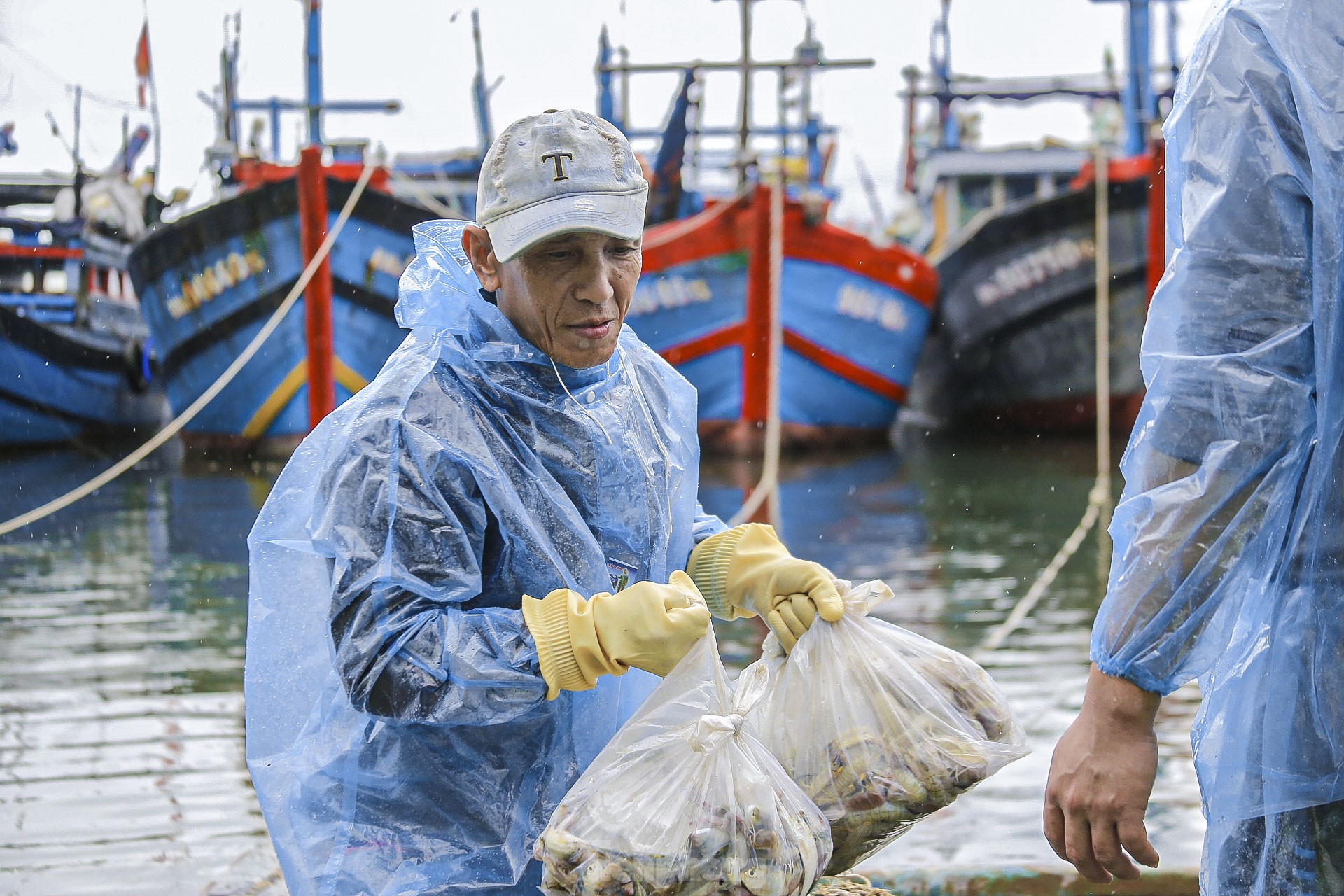 Los pescadores de Da Nang pescan cerca de la costa y ganan millones tras la tormenta (foto 12)