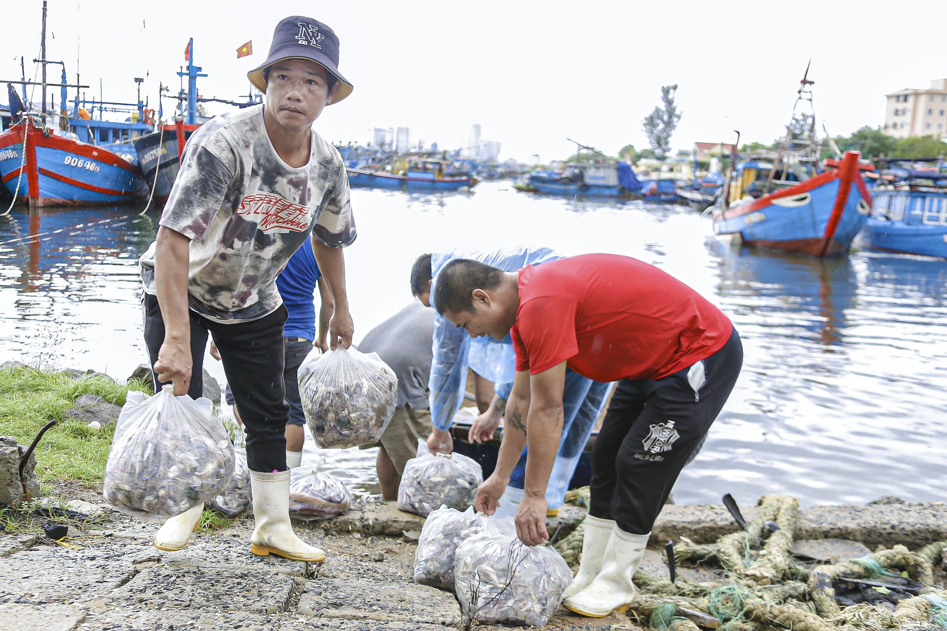 Ngư dân Đà Nẵng đánh bắt gần bờ, thu tiền triệu sau bão ảnh 7