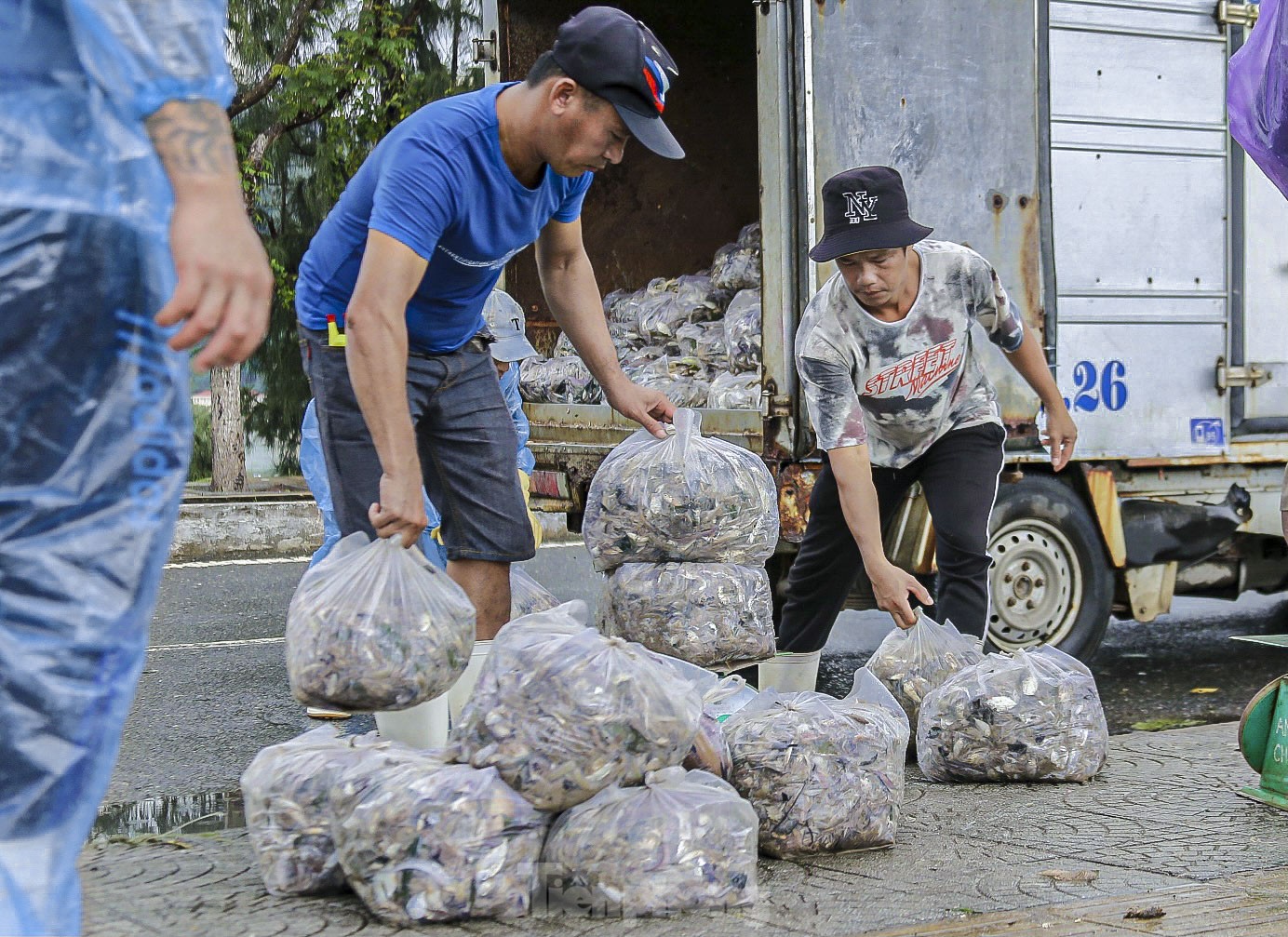 Ngư dân Đà Nẵng đánh bắt gần bờ, thu tiền triệu sau bão ảnh 13