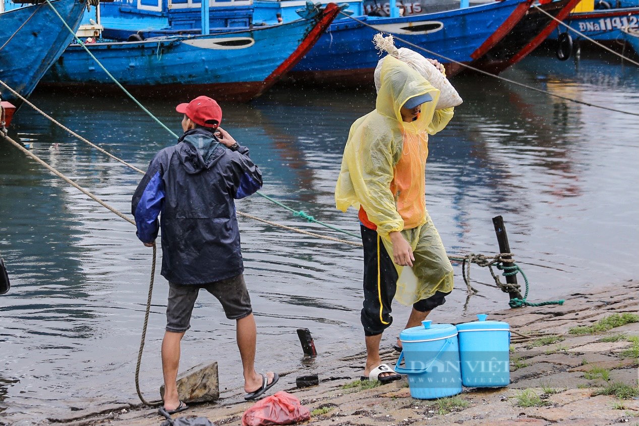 Đà Nẵng: Ngư dân thu tiền triệu mỗi ngày nhờ đánh bắt gần bờ sau bão Trà Mi- Ảnh 5.