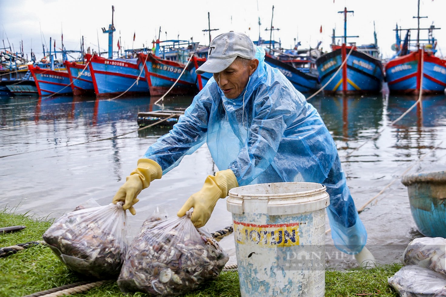 Đà Nẵng: Ngư dân thu tiền triệu mỗi ngày nhờ đánh bắt gần bờ sau bão Trà Mi- Ảnh 6.