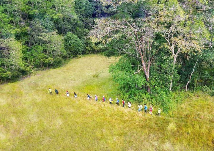 Ngoài ra bạn có thể lựa chọn hình thức trekking để khám phá thiên nhiên. (Ảnh: MIA Go)