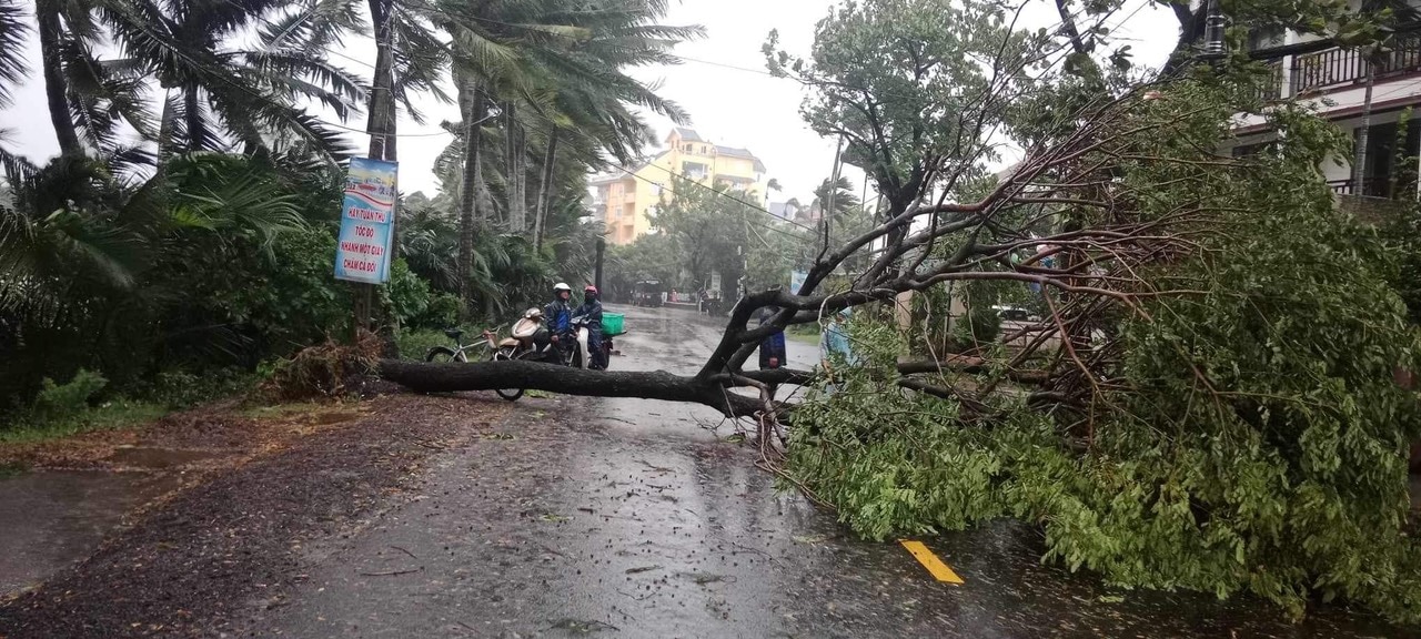 Bão số 6 - Trà Mi: Tại Quảng Nam có 2 người bị thương, nhiều nhà tốc mái- Ảnh 1.