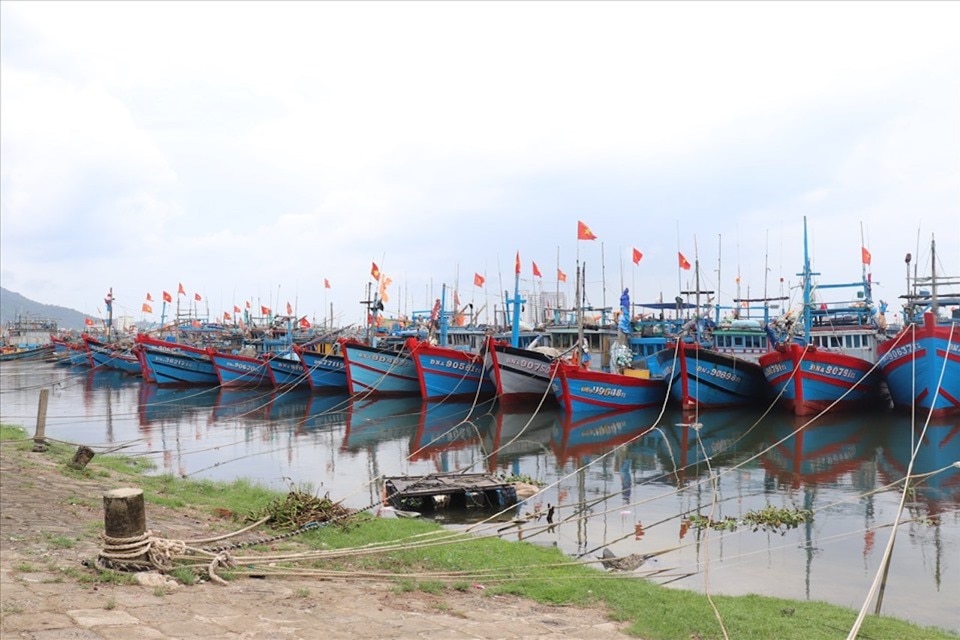 Tàu thuyền neo đậu ven biển miền Trung.