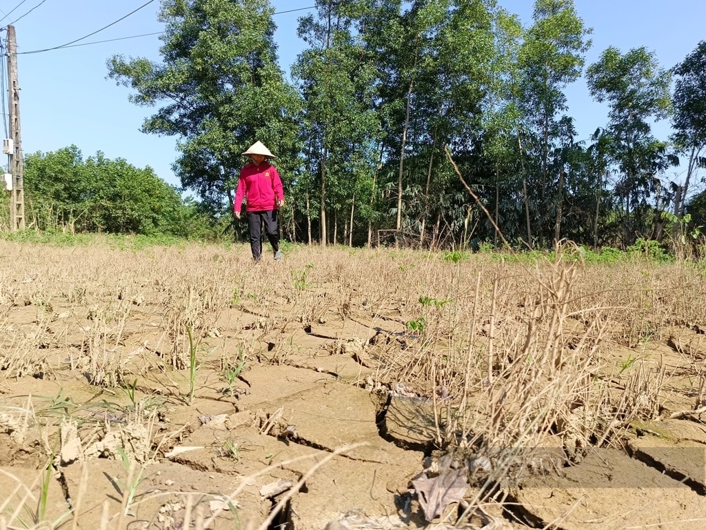 Thủ tướng chỉ đạo: Đến từng hộ dân để hỗ trợ khắc phục hậu quả bão số 3 - Ảnh 1.