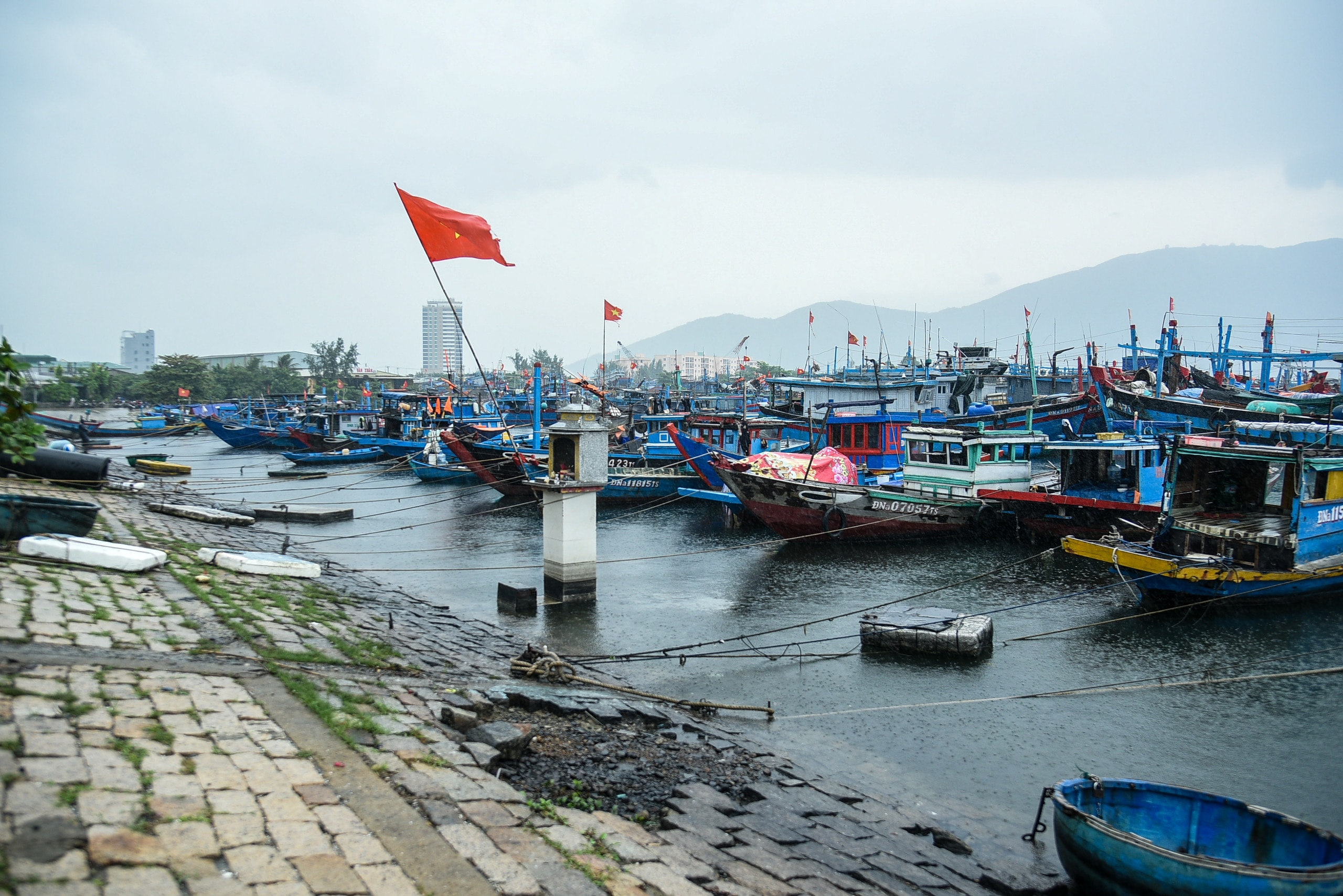 Bộ đội biên phòng Đà Nẵng huy động cán bộ, chiến sĩ giúp dân chống bão Trà Mi- Ảnh 1.