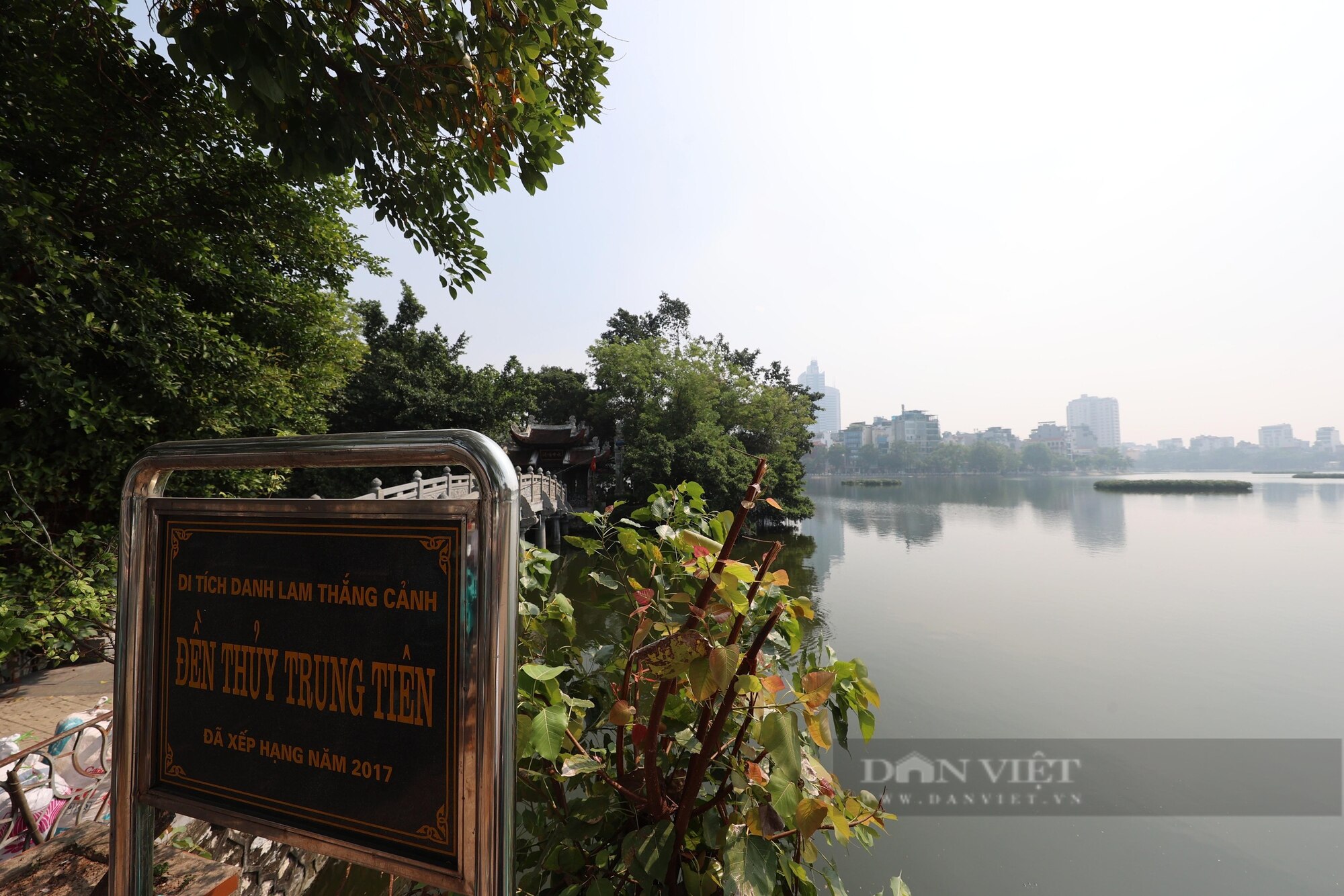 Chim hoang dã bay rợp trời hồ Trúc Bạch, toàn là cò, diệc... cỡ lớn- Ảnh 1.