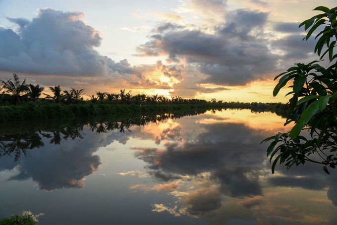 Bình minh ở đầm rươi của anh Giang. Ảnh: Dương Đình Tường.