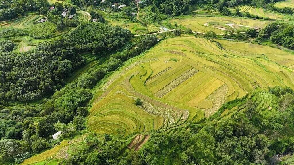 Ruộng bậc thang Miền Đồi - Viên ngọc thô vùng sơn cước chờ tỏa sáng. Ảnh: Nguyễn Huy Tiến