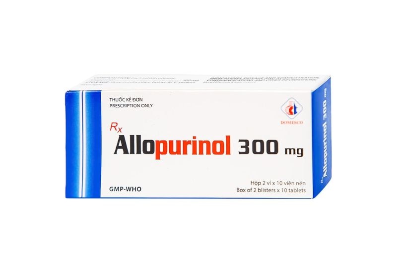 Allopurinol làm giảm lượng axit uric được tạo ra trong cơ thể