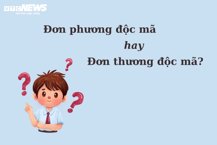 'Đơn phương độc mã' hay 'đơn thương độc mã' mới chuẩn thành ngữ - 1