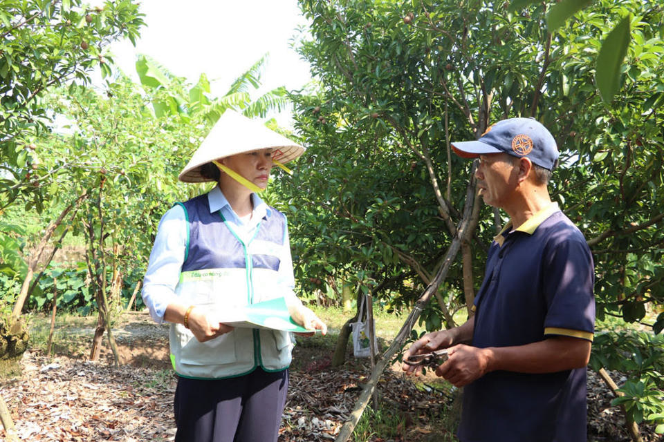 Giám đốc Trung tâm Khuyến nông Hà Nội Vũ Thị Hương thăm hỏi, hướng dẫn kỹ thuật chăm sóc cây trồng cho nông dân xã Hòa Nam, huyện Ứng Hòa. Ảnh: Thu Phượng