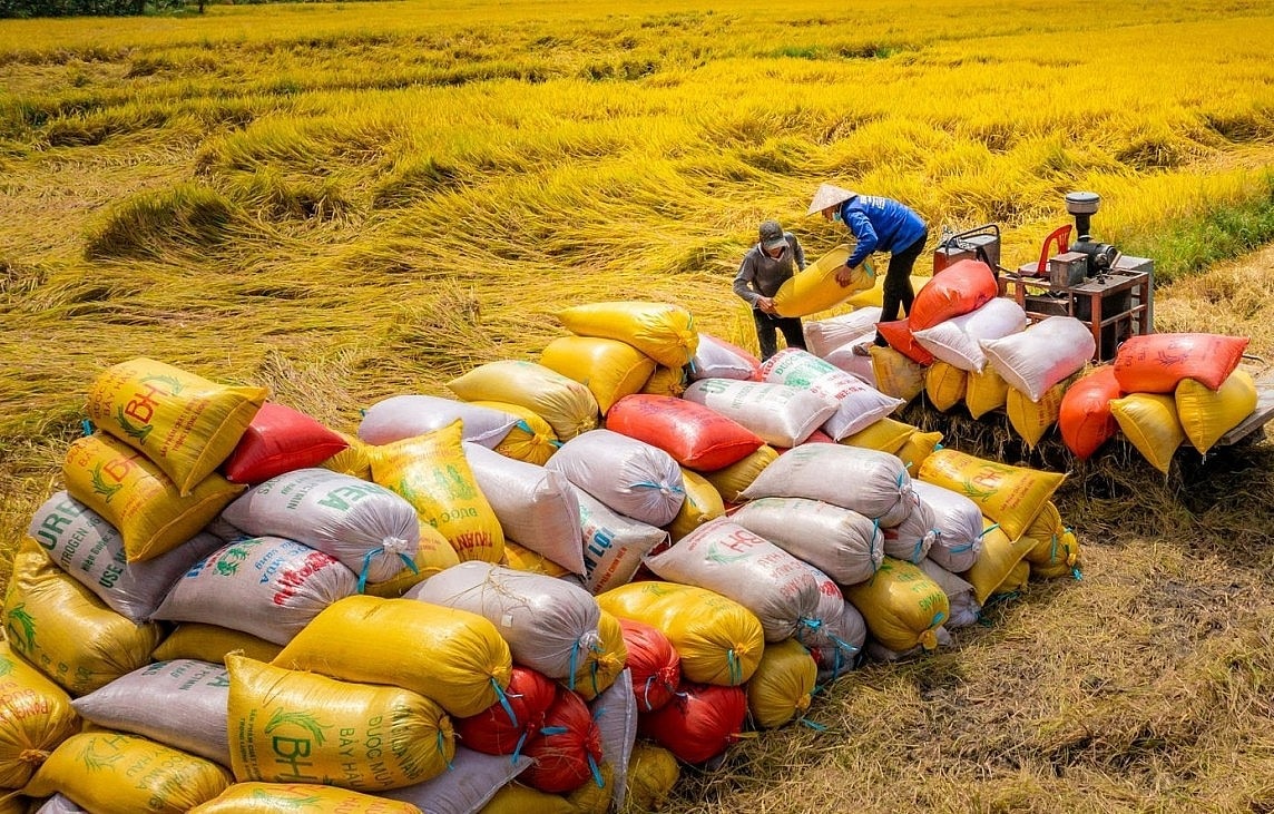 kim ngạch xuất khẩu gạo của Việt Nam đạt 6,9 triệu tấn, kim ngạch 4,3 tỉ USD