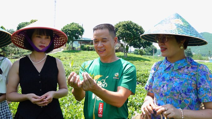 Anh Bùi Trọng Đại, Giám đốc HTX Tiến Yên (giữa) giới thiệu về đặc sản chè Tân Cương tới du khách. Ảnh: Quang Linh.