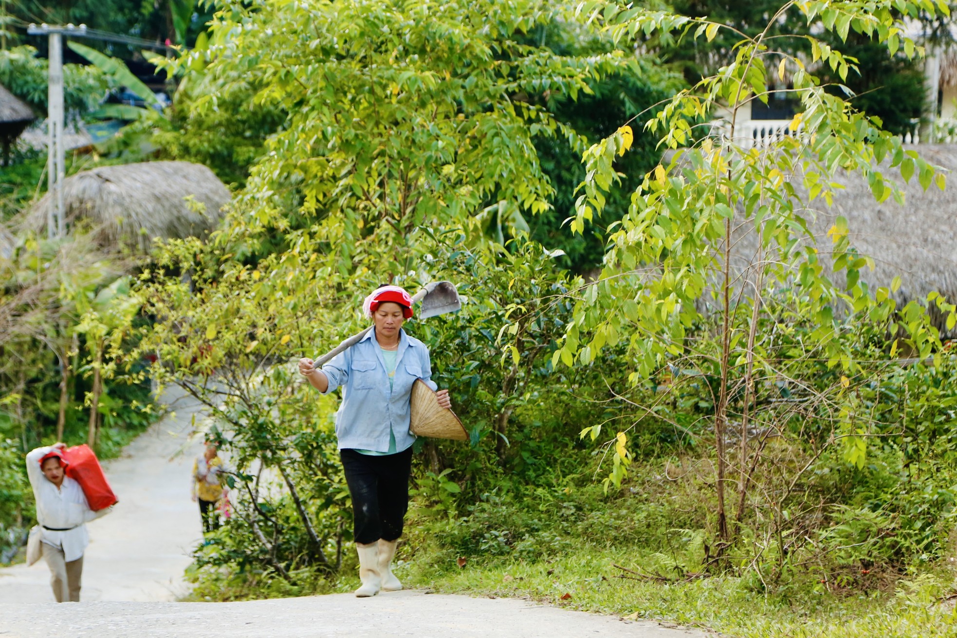 Hiếm có, khó tìm những mái nhà biết 'biến hình' ở Hà Giang ảnh 7