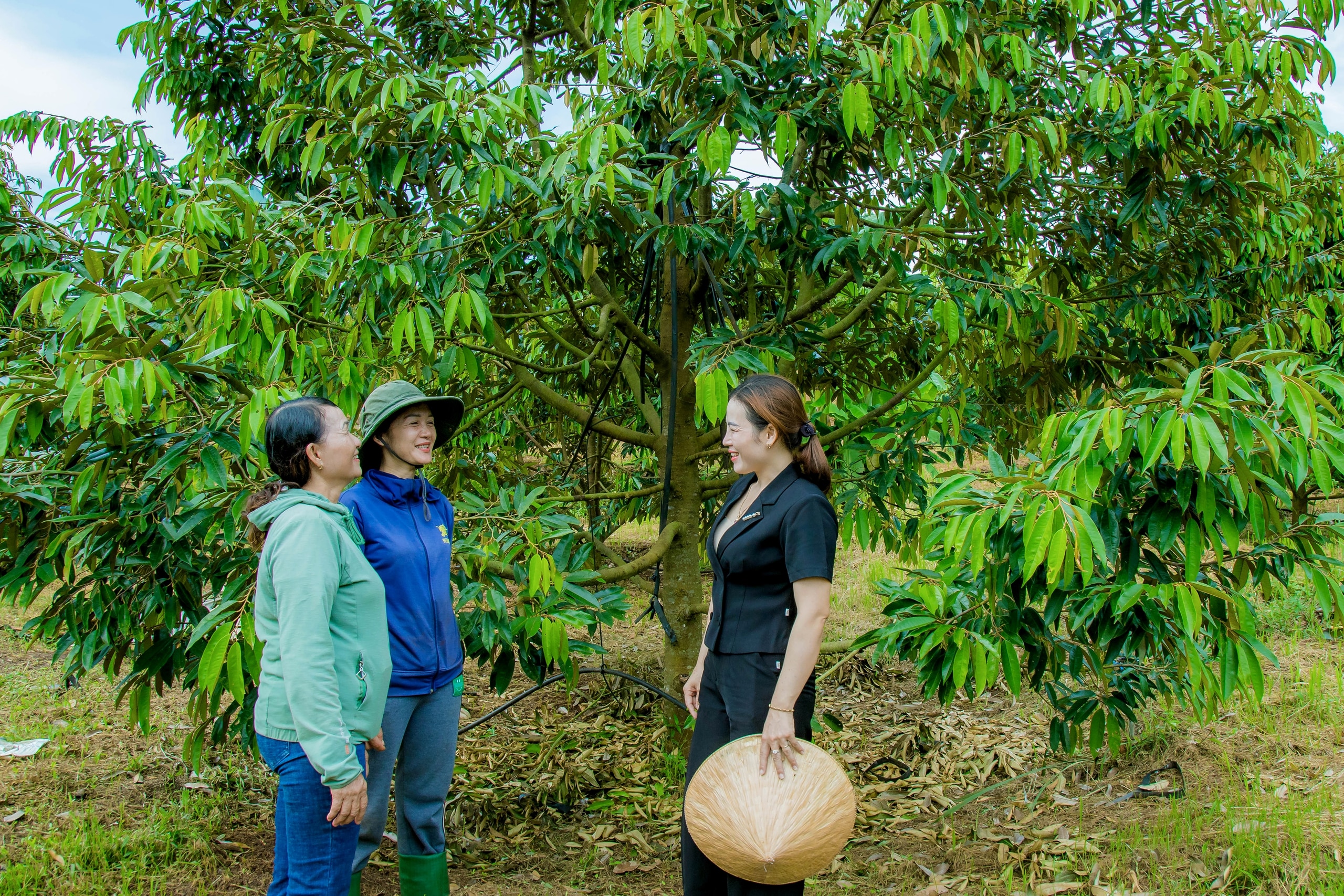 Tấm gương sáng trong phát triển nông nghiệp bền vững tại Đắk Lắk - Ảnh 1.