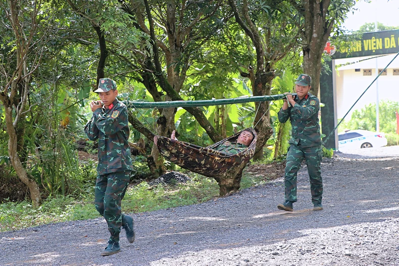 Khai mạc Diễn tập khu vực phòng thủ tỉnh Hòa Bình năm 2024 ảnh 1