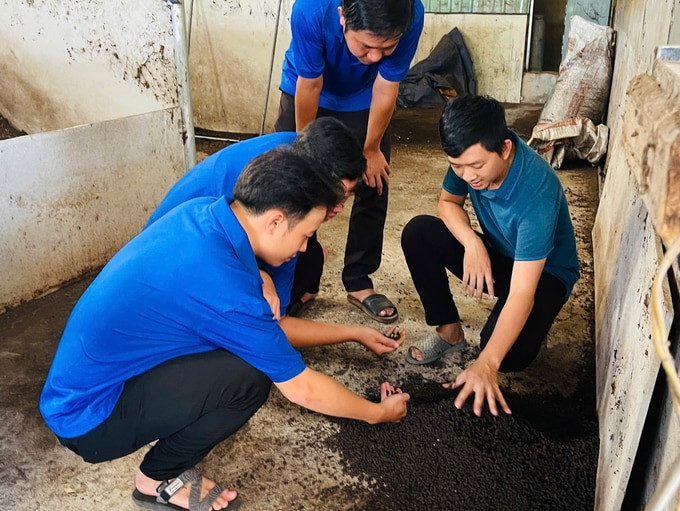 Anh Nguyễn Trường Anh (ngoài cùng bên phải) giới thiệu phân hữu cơ làm từ vỏ ấu. Ảnh: Nhân vật cung cấp.