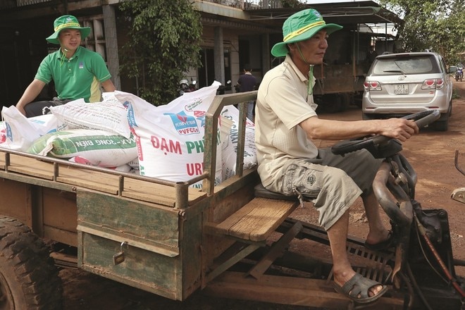 Bà con nông dân mua phân bón NPK Phú Mỹ.