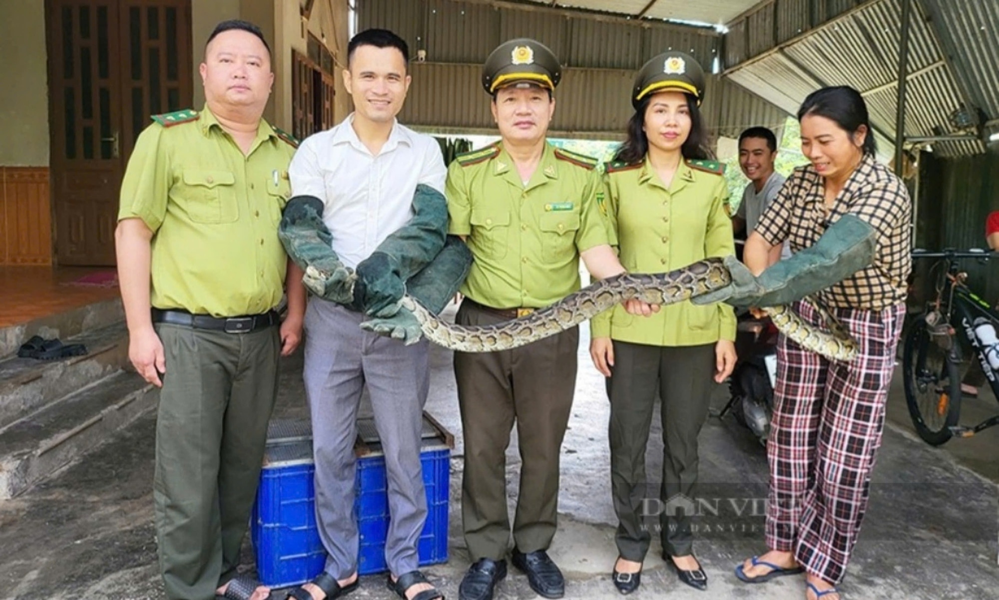 Nông dân bắt được trăn đất nặng 6kg đang bò trên cánh đồng Hà Tĩnh - Ảnh 1.