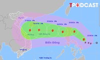 ĐIỂM TIN 22/10: Bão số 6 Trà Mi gây mưa lớn cho các tỉnh, thành nào? 