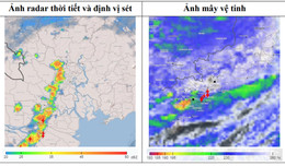 cumpărați semințe în HCMC.jpg