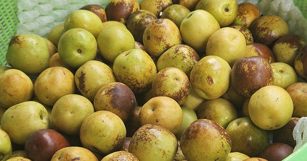 Jujube ist nahrhaft, aber wie viel sollten ältere Menschen und Menschen mit Grunderkrankungen essen? – Foto 2. Táo tàu bổ dưỡng nhưng người cao tuổi, bệnh nền nên ăn với liều lượng thế nào?- Ảnh 2.