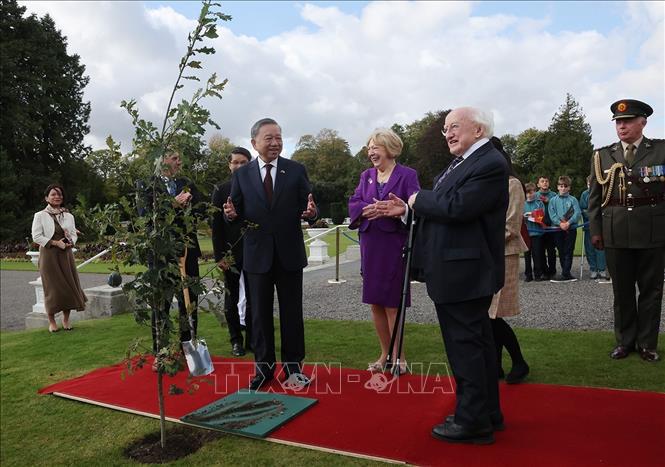 Tổng thống Ireland Michael D. Higgins cùng Phu nhân và Tổng Bí thư, Chủ tịch nước Tô Lâm tại lễ trồng cây. Ảnh: TTXVN