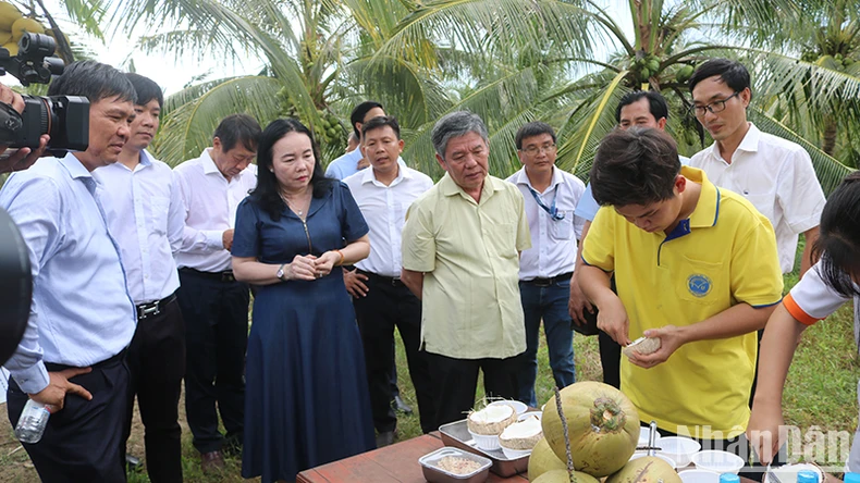 Trường đại học Trà Vinh nghiên cứu thành công giống dừa sáp cấy phôi ảnh 1