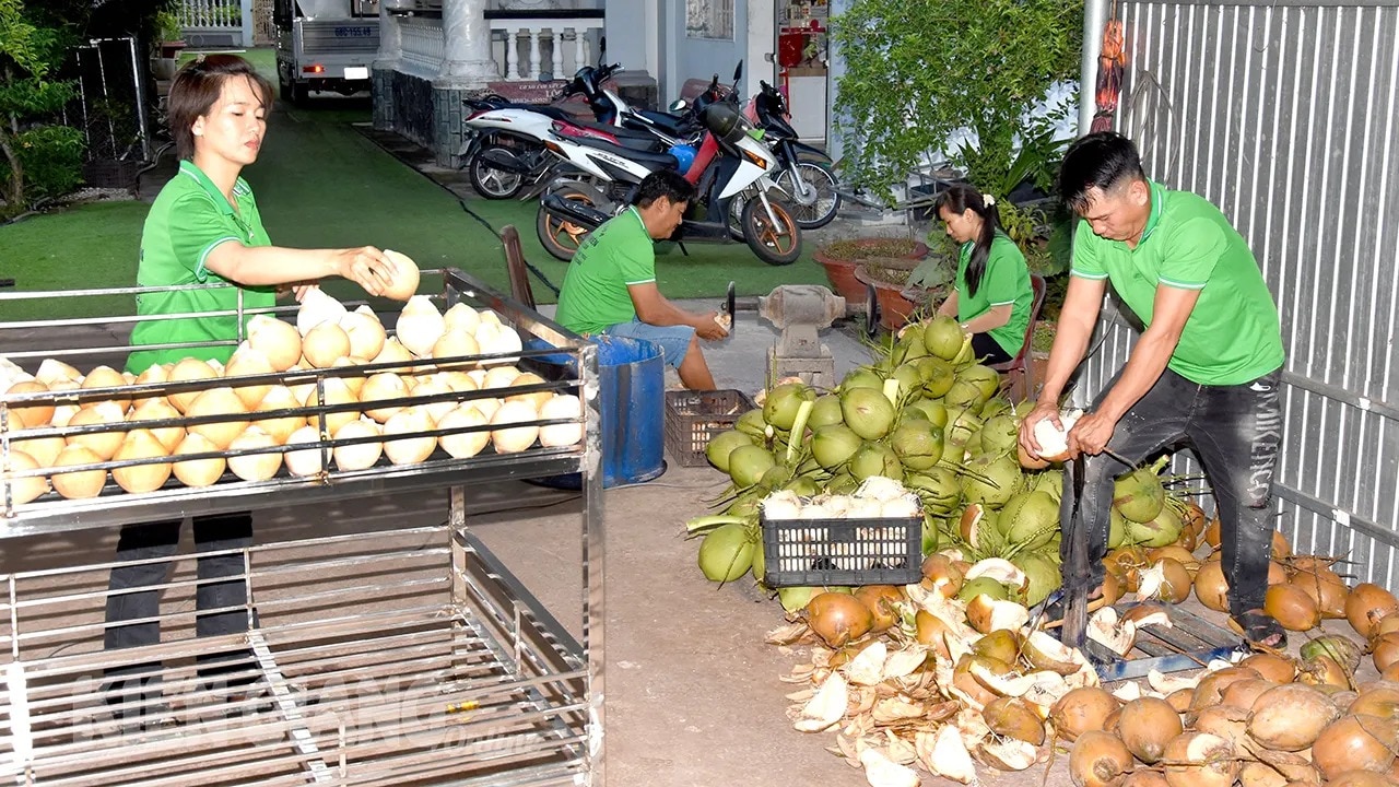 Loại quả ngon này ở Kiên Giang bỗng được khắc chữ, chạm khoen, bán tốt hẳn lên - Ảnh 1.