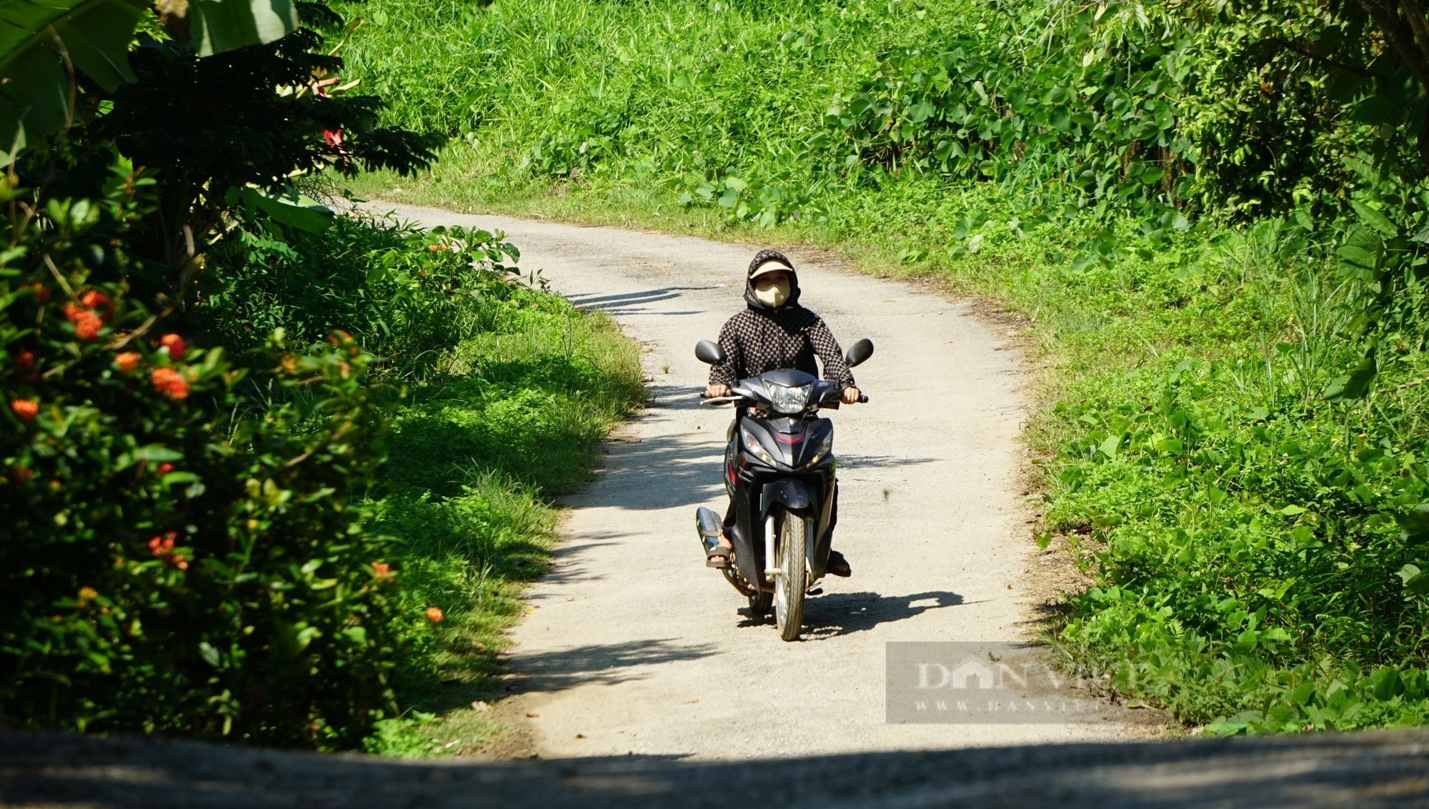 Nông dân Việt Nam xuất sắc ở Yên Bái tích cực hiến đất mở đường xây dựng nông thôn mới - Ảnh 1.