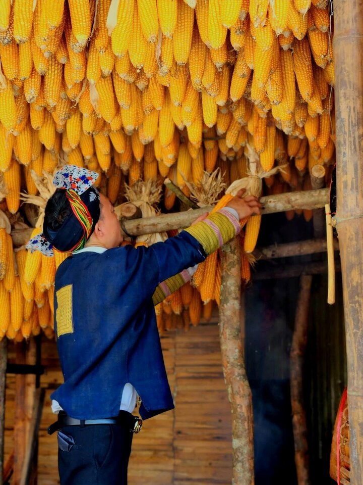 Đến Bản Mây trải nghiệm văn hóa Tây Bắc như trong phim 'Đi giữa trời rực rỡ'