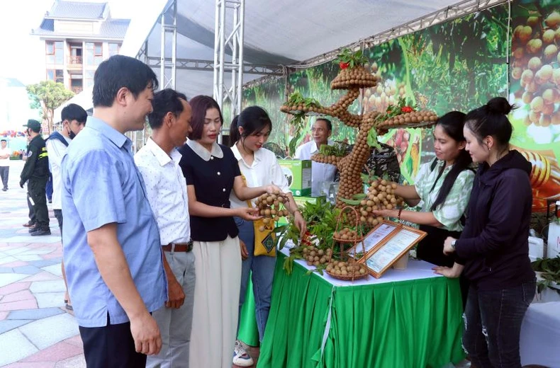 Hưng Yên có 271 sản phẩm OCOP ảnh 2