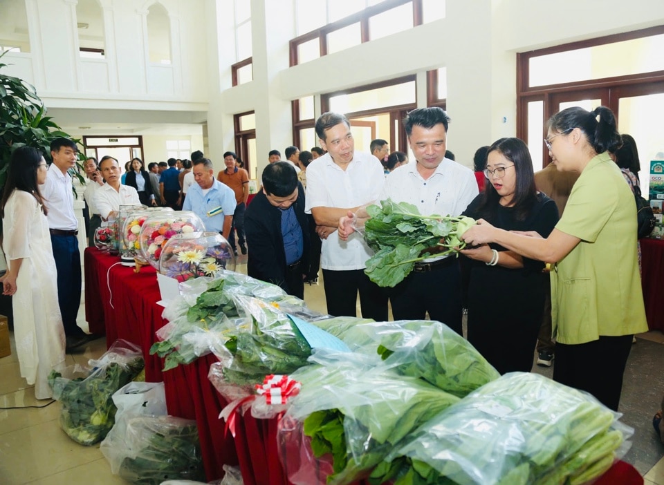 Nhiều sản phẩm nông nghiệp tiêu biểu, đạt tiêu chuẩn OCOP của Mê Linh được trưng bày trong khuôn khổ diễn đàn. Ảnh: Phạm Hùng