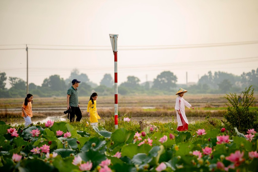 Làng quê ở Huế yên bình, xinh đẹp