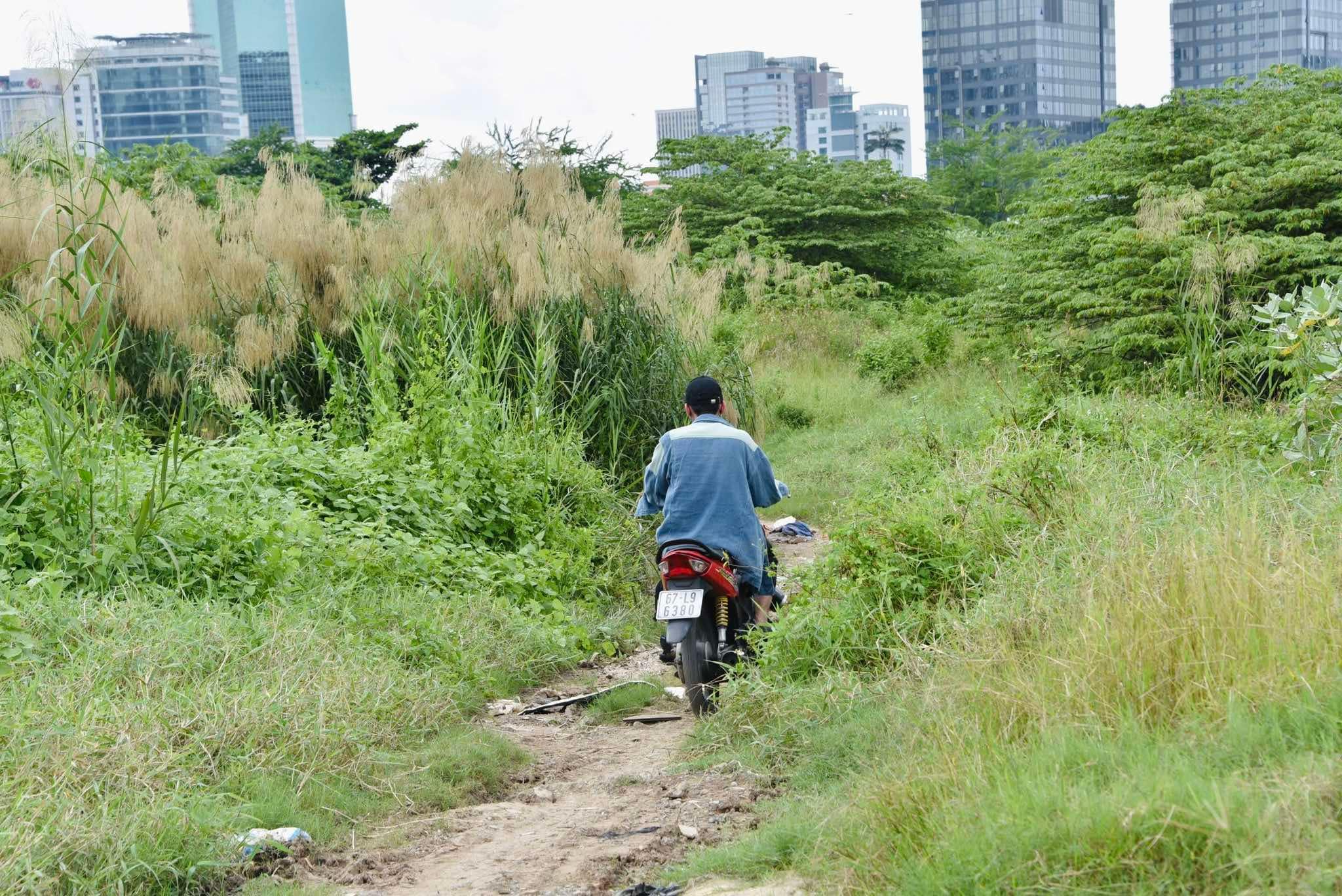 Khu đất hoang sơ, cỏ um tùm sẽ thành công viên siêu đẹp ven sông Sài Gòn- Ảnh 13.