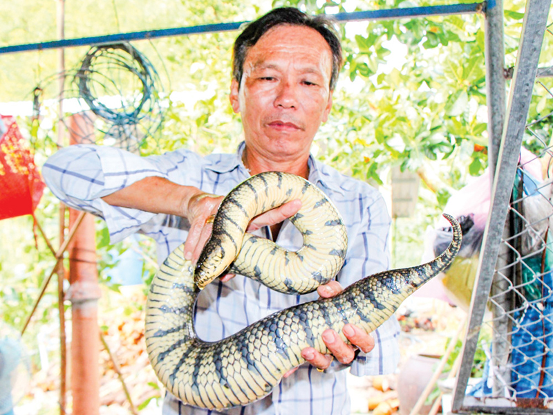 Đi tìm nghìn lẻ một cách làm giàu của nông dân: Vùng đồng bằng sông Cửu Long (Bài cuối) - Ảnh 4.