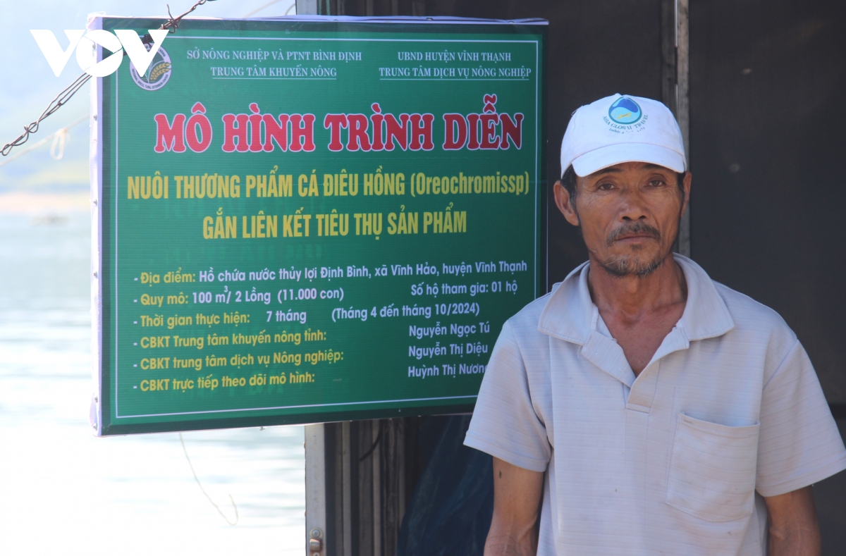 hieu qua tu nuoi ca dieu hong o ho thuy loi mien nui binh Dinh hinh anh 2