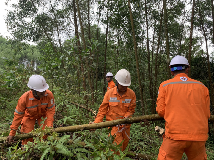 Công nhân Điện lực Hà Tĩnh ra quân xử lý, phát quang hành lang an toàn lưới điện.