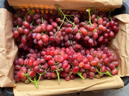 انگور چینی