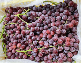 انگور چینی