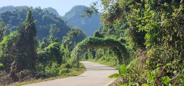 Làng Việt Hải vẫn giữ nguyên vẻ đẹp sau hàng trăm năm. Ảnh Tiến Bảo 