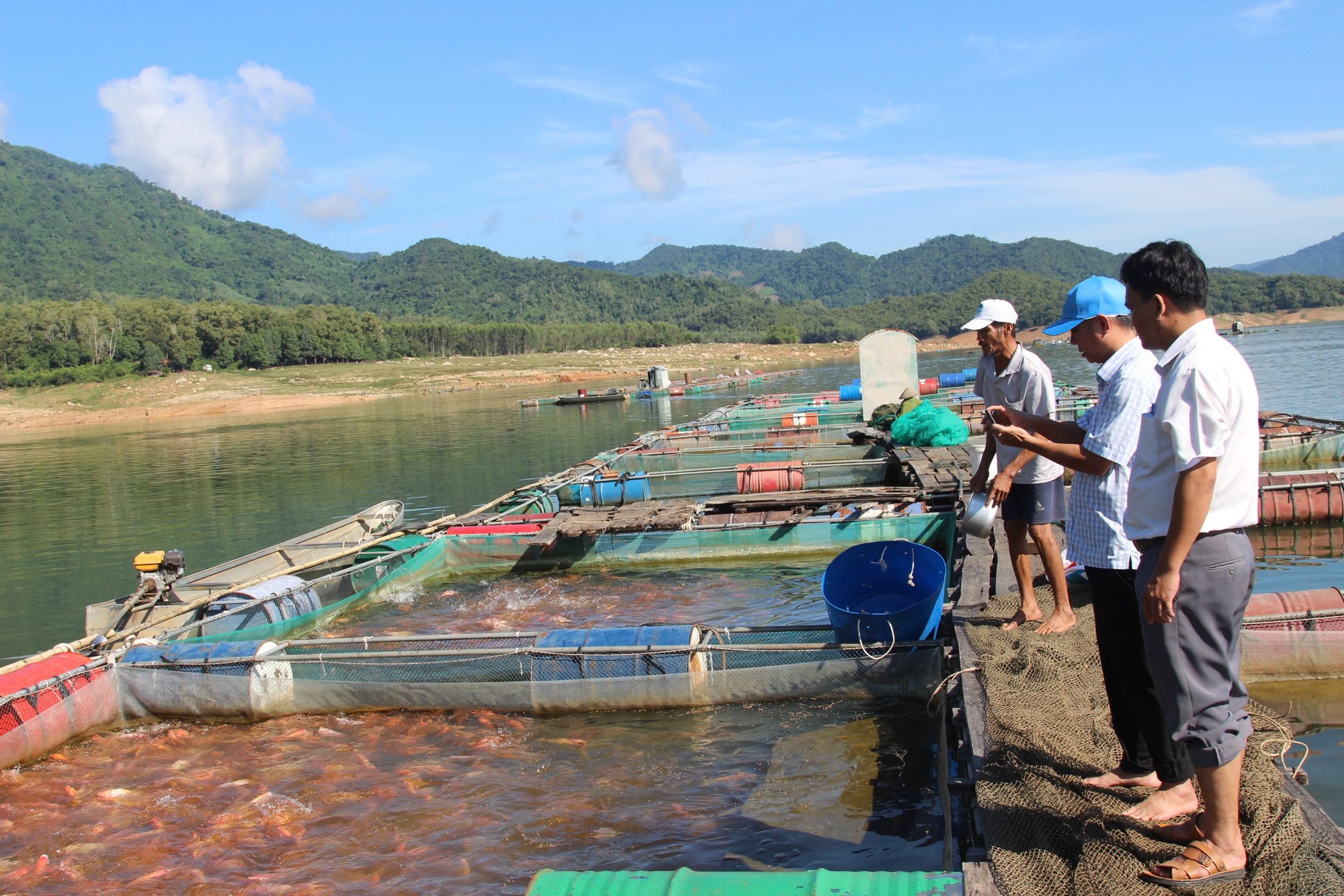 Ở một huyện miền núi Bình Định, có loại cá màu sắc bắt mắt, nổi tiếng thơm ngon- Ảnh 2.